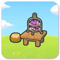 Elegant daytime treats