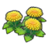 Dandy flowers