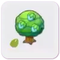 Rawst seeds