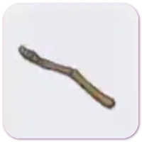 Wing Fossil (right wing)