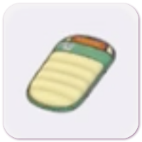 Sleeping Bag